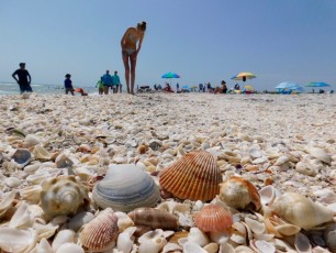 bowman-s-beach-Sanibel-Island-ile-plage-Floride-9286