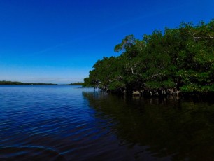 Kayak-mer-iles-Matlacha-Floride-1705