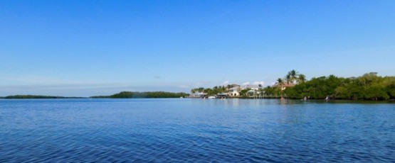 Kayak-mer-iles-Matlacha-Floride-1789
