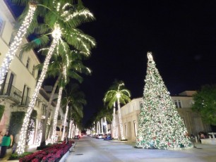 Noel-Decorations-Palm-Beach-1552