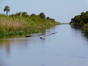 Canal d'accès au Lake Okeechobee à Moore Haven (Floride)