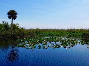 Lake Okeechobee à Moore Haven en Floride