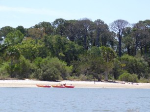 Atsena Otie Key, une île sauvage près de Cedar Key en Floride