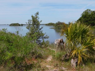 Île de Cedar Key, en Floride.