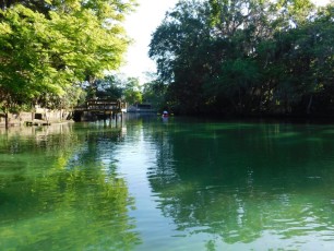 Kayak-sur-la-Weeki-Wachee-River-Floride-6426
