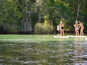 Kayak-sur-la-Weeki-Wachee-River-Floride-6513