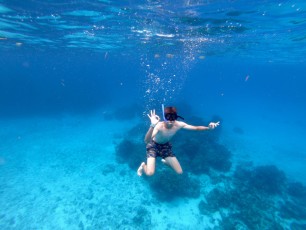 Plongée sous-marine sur l'île de Cozumel (Mexique)