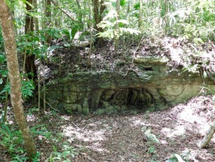 Forêt près des ruines et pyramide de Muyil (près de Tulum au Mexique)