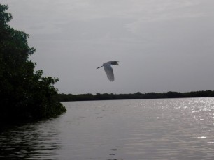 Le lagon de Rio Lagartos dans le Yucatan.