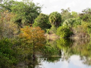 Boca-Raton-Daggerwing-Nature-Center-parc-1085