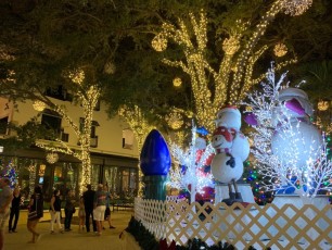 Decorations-illuminations-de-Noel-Naples-Floride-6114