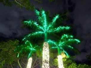 Mounts-Botanical-Gardens-Palm-Beach-decorations-illuminations-noel-2585