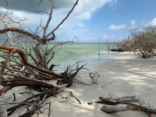 Plage-Delnor-Wiggins-pass-State-Park-Naples-Floride-2852