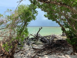 Plage-Delnor-Wiggins-pass-State-Park-Naples-Floride-2871
