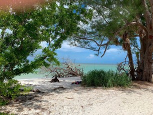Plage de Delnor Wiggins à Naples