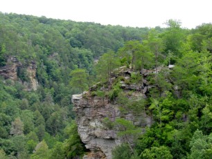 Fall-Creek-Falls-chutes-parc-riviere-Tennessee-1494