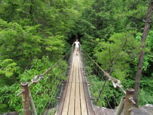 Fall-Creek-Falls-chutes-parc-riviere-Tennessee-1519