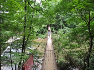 Fall-Creek-Falls-chutes-parc-riviere-Tennessee-1551