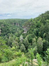 Fall-Creek-Falls-chutes-parc-riviere-Tennessee-2001