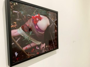 Photo et installation joliment nommée "Booty Bouquet" par Naomi Fisher au Rubell Museum de Miami (collection privée d'art contemporain)