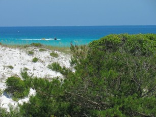 Henderson Beach State Park et sa plage magnifique à Destin en Floride