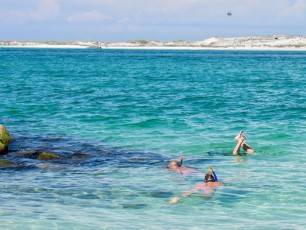 Norriego-Point-plage-snorkelling-Destin-Floride-5983