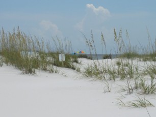Shell-Island-Panama-City-Beach-Floride-5723