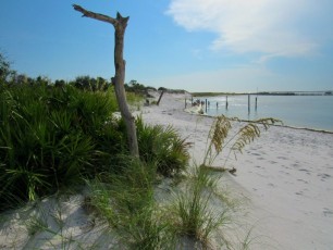 Shell-Island-Panama-City-Beach-Floride-5781