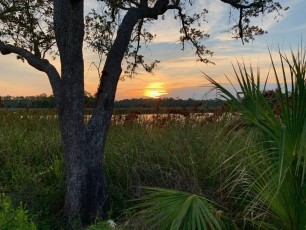 Coucher de soleil sur Tate's Hell à East Point en Floride