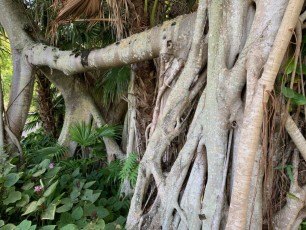 McKee Botanical Garden de Vero Beach (Floride)