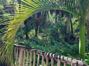 McKee Botanical Garden de Vero Beach (Floride)