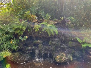 McKee Botanical Garden de Vero Beach (Floride)