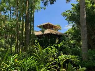 McKee Botanical Garden de Vero Beach (Floride)
