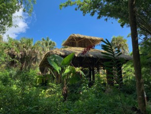 McKee-Botanical-gardens-Vero-Beach-Floride-0784