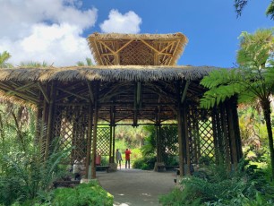McKee-Botanical-gardens-Vero-Beach-Floride-0792