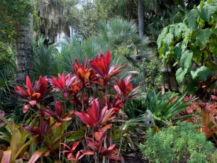 McKee Botanical Garden de Vero Beach (Floride)