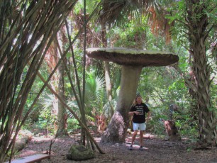 McKee Botanical Garden de Vero Beach (Floride)