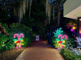 decorations-noel-pinecrest-gardens-miami-2927