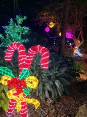 decorations-noel-pinecrest-gardens-miami-2930
