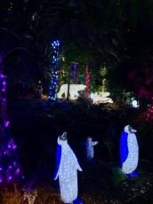 Miami : les belles décorations de Noël des Pinecrest Gardens