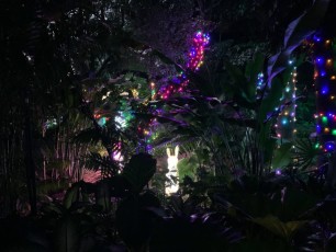 decorations-noel-pinecrest-gardens-miami-2949