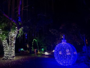 decorations-noel-pinecrest-gardens-miami-3041