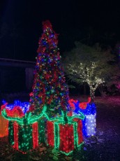 decorations-noel-pinecrest-gardens-miami-3061