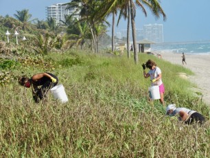 Les Canadiens ont nettoyé la plage de Hollywood en Floride