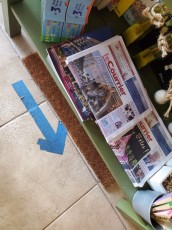 photos-du-courrier-des-ameriques-distribution-134651009_3195167190588707_2507238714849579519_o