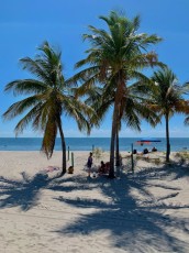 crandon-park-key-bisayne-miami-6685La plage de Crandon Park à Key Biscayne, une île de Miami en Floride