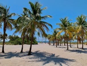 La plage de Crandon Park à Key Biscayne, une île de Miami en Floride