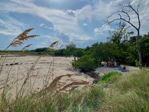 Plage The Cove sur Virginia Key à MIami