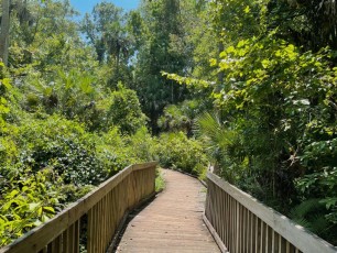 Sentiers autour de Wekiwa Springs (nord d'Orlando)