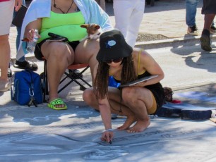 Les photos et la vidéo du Street Painting Festival de Lake Worth